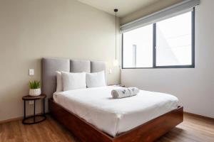 Amazing 3BR with balcony in Roma Norte