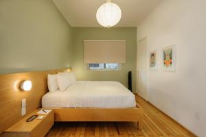 Fantastic 2BR in Condesa