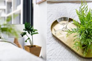 A Stylish CBD Studio Right Next to Southern Cross