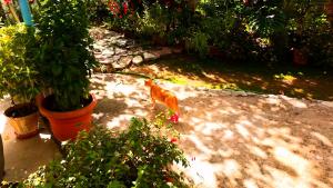 The Grandfathers Room