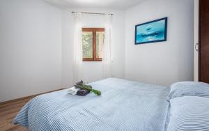 Family-friendly apartments with swimming pool Drenje, Labin - 22999