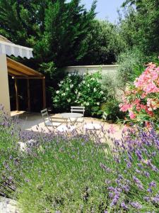 B&B / Chambres d'hotes La Bastide au Ventoux : photos des chambres