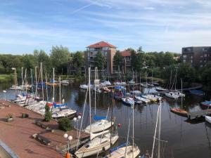 DelfInn - Dein maritimes Refugium zwischen See und Hafen