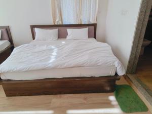 Hotel ananya fairview