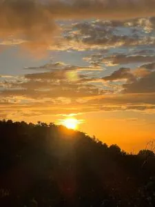 Adella's Blue Mountain Coffee Farmstay - Epping Farm