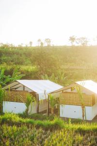Camani Glamping