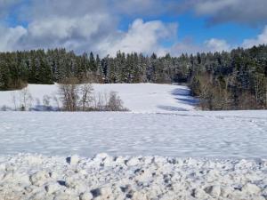 Waldresidenz Comfortable holiday residence