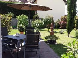 To the vineyard in Großkarlbach-Pfalz - Mannheim