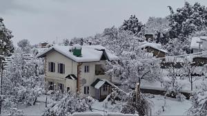 Hartola Panorama Homestay