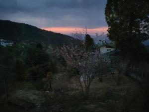 Hartola Panorama Homestay