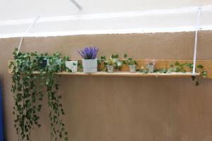 Modern Urban Host with Private Courtyard