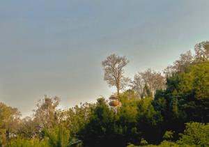 Anantara Golden Triangle Elephant Camp & Resort