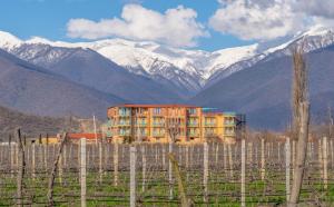 Burki Castle & Cellar - Ubytování bez kategorie ve městě Kvareli