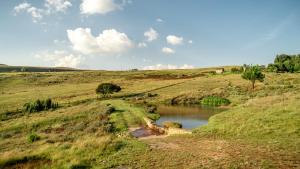Moonlight Meadows just outside Dullstoom