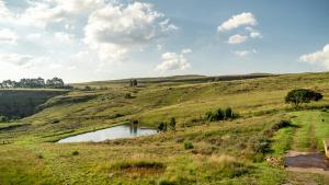 Moonlight Meadows just outside Dullstoom