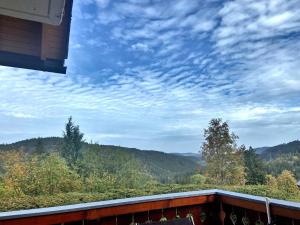 Ferienwohnung Seeblick Nr 2 5-Zimmerwohnung - Feldberg Bärental