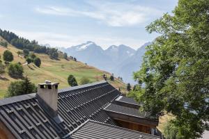 Chalets Chalet,14 p, 230m2,sauna,billard,source : photos des chambres