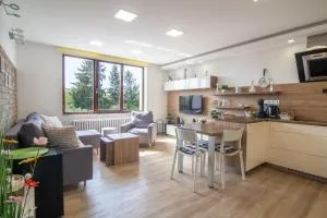 Apartmán U nás doma - Charvátská Nová Ves