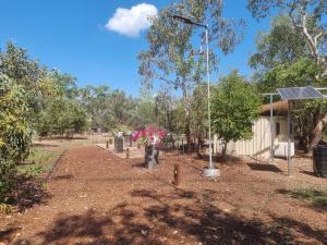 Ninas Ark Wildlife Sanctuary Package