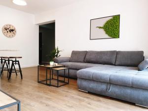 Apartament Milionowa