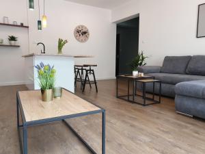 Apartament Milionowa