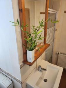 Ferienwohnung Langhammer