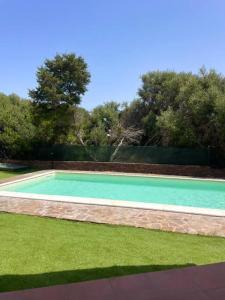Villa Olivastro - Piscina privata img3