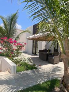 Hawana Palm Beach