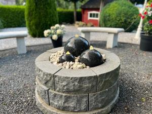 Haus Stadt Hannover am Park