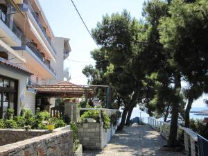 Kavos Hotel Alonissos Greece