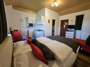 Studio Apartment room in House Petra
