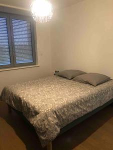 Appartements Les Cotonnades (Colmar) : photos des chambres