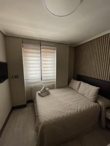 Alojamientos CATAMARAN