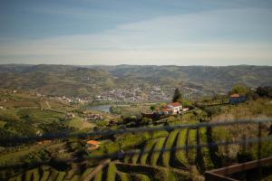 Casa da Quebrada, Douro