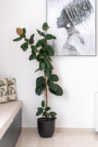 Luxury Villa Olivetum with Heated Pool, Sea View & Sauna - Okrug Gornji