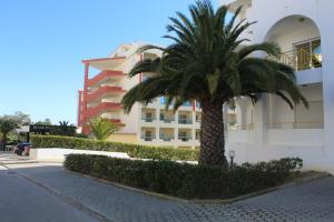 TAC - Palmeiras Terrace Club