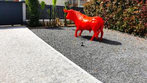 Appartements Entre mer et campagne : photos des chambres