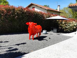 Appartements Entre mer et campagne : photos des chambres