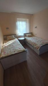 Apartamentai Nidoje pas Virginą