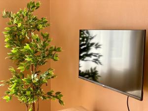 Appartements Les Dunes : photos des chambres