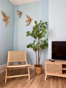 Appartements Les Dunes : photos des chambres