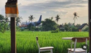 Uma Menuh Surf House