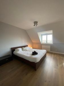 Appartements 2 chambres Hyper centre avec place de Parking et WIFI : photos des chambres