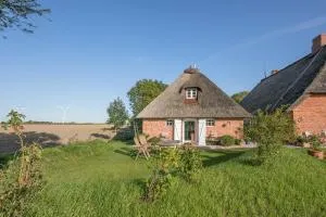 Idyllische kleine Reetdachkate mit Blick über die Felder - Kamin, Terrasse & Privatparkplatz - Witzwort