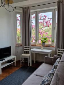 Apartament Magnolia