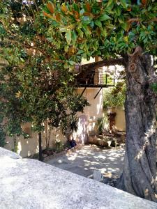 chambres dhôtes latrium