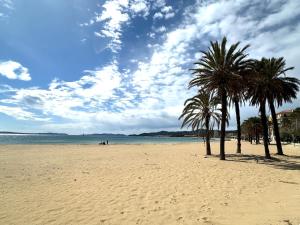 Appartements Cosy studio devant la mer Lavandou : photos des chambres