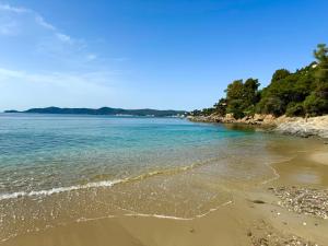 Appartements Cosy studio devant la mer Lavandou : photos des chambres