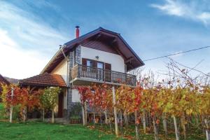 Vineyard Cottage Bahor - Happy Rentals