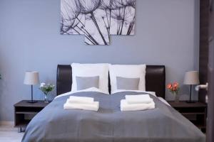 Very central modern and cozy AC apartment